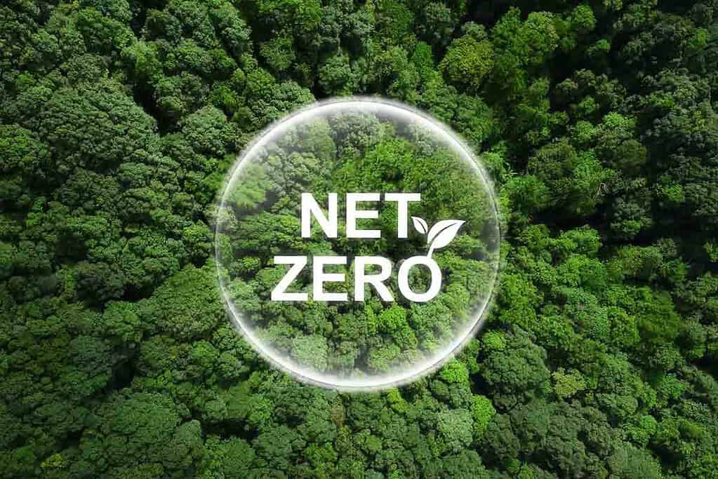 Aerial view of a forest with a Net Zero logo in the centre.